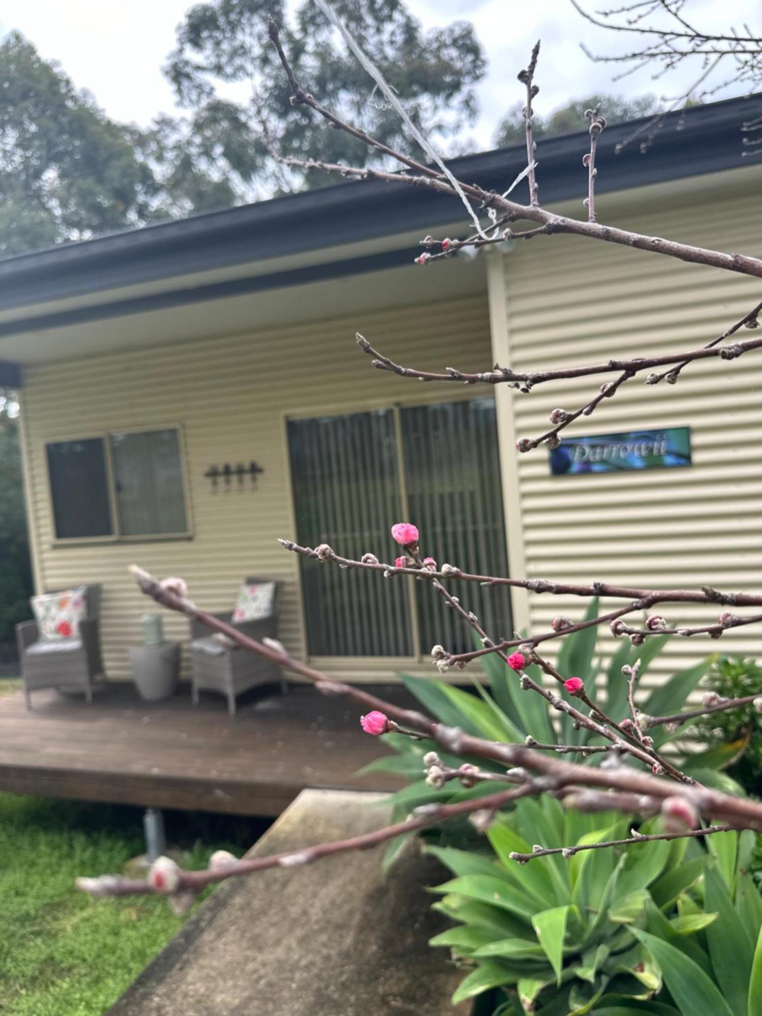 Blueberry Hills On Comleroy Farmstay - Self-Contained Cottages Kurrajong Extérieur photo