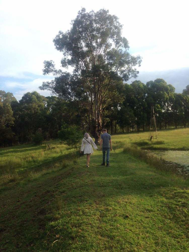 Blueberry Hills On Comleroy Farmstay - Self-Contained Cottages Kurrajong Extérieur photo