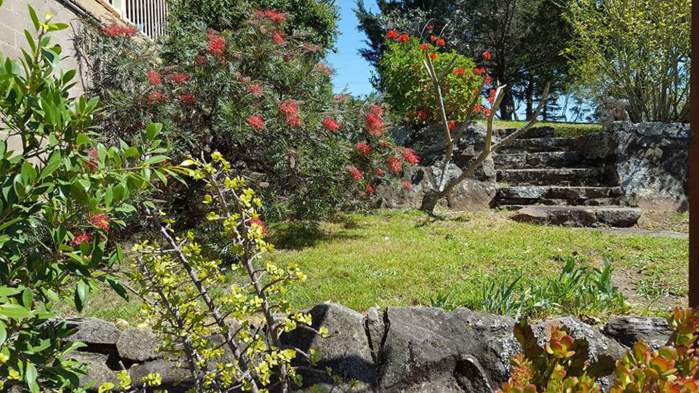 Blueberry Hills On Comleroy Farmstay - Self-Contained Cottages Kurrajong Extérieur photo