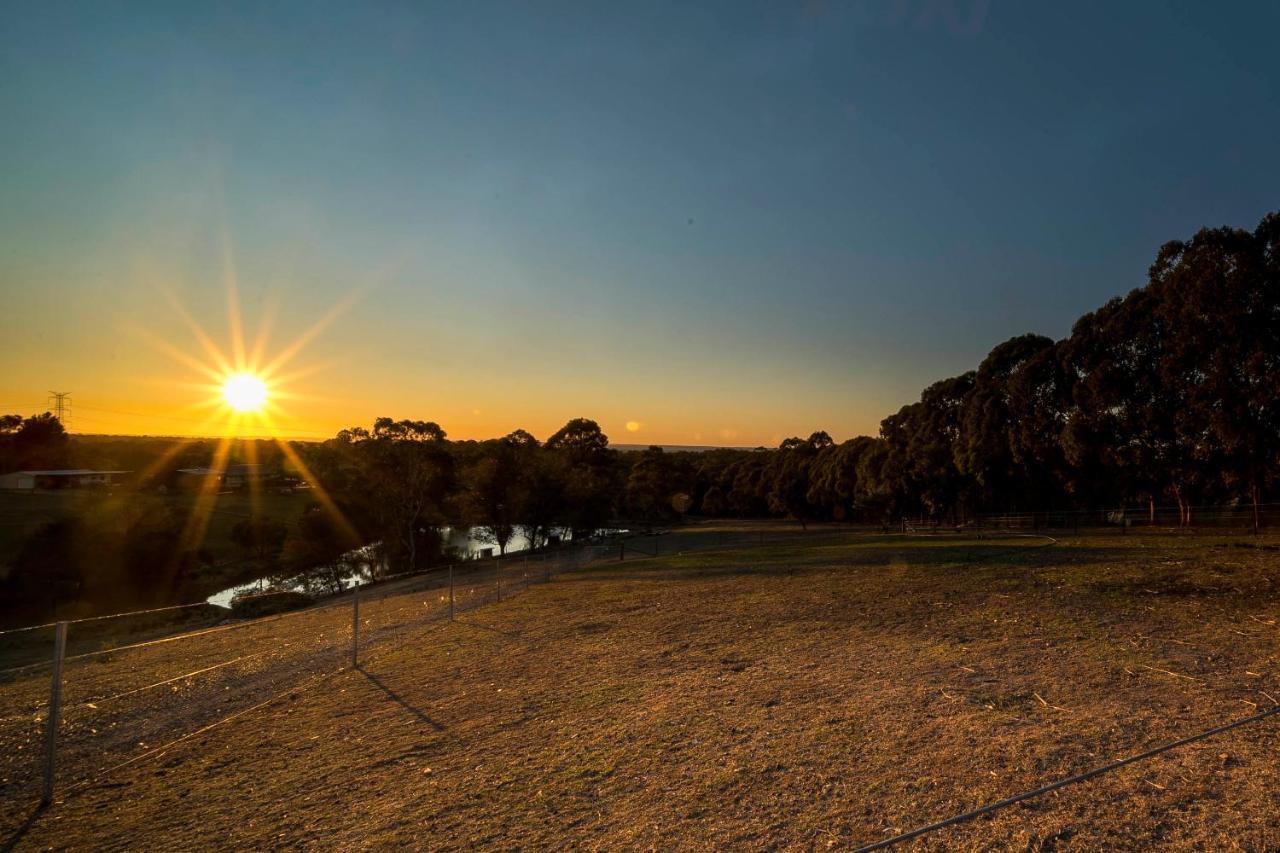 Blueberry Hills On Comleroy Farmstay - Self-Contained Cottages Kurrajong Extérieur photo