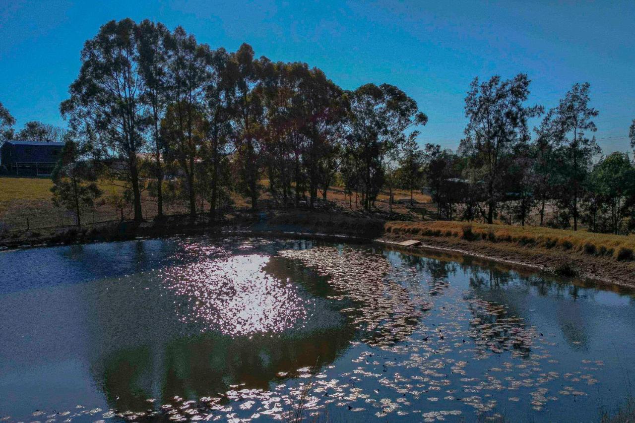 Blueberry Hills On Comleroy Farmstay - Self-Contained Cottages Kurrajong Extérieur photo