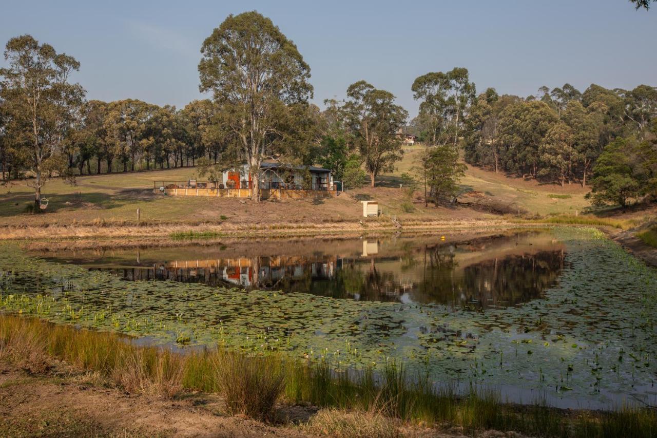 Blueberry Hills On Comleroy Farmstay - Self-Contained Cottages Kurrajong Extérieur photo
