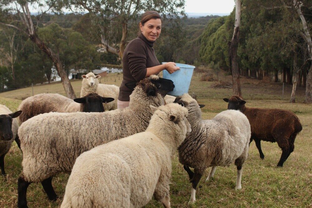 Blueberry Hills On Comleroy Farmstay - Self-Contained Cottages Kurrajong Extérieur photo